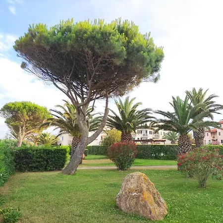 Les Capitelles 5 - Acces Direct A La Depuis Le Jardin - T2 Avec - 6 Pers - Jardin - Piscine - Parking דירה